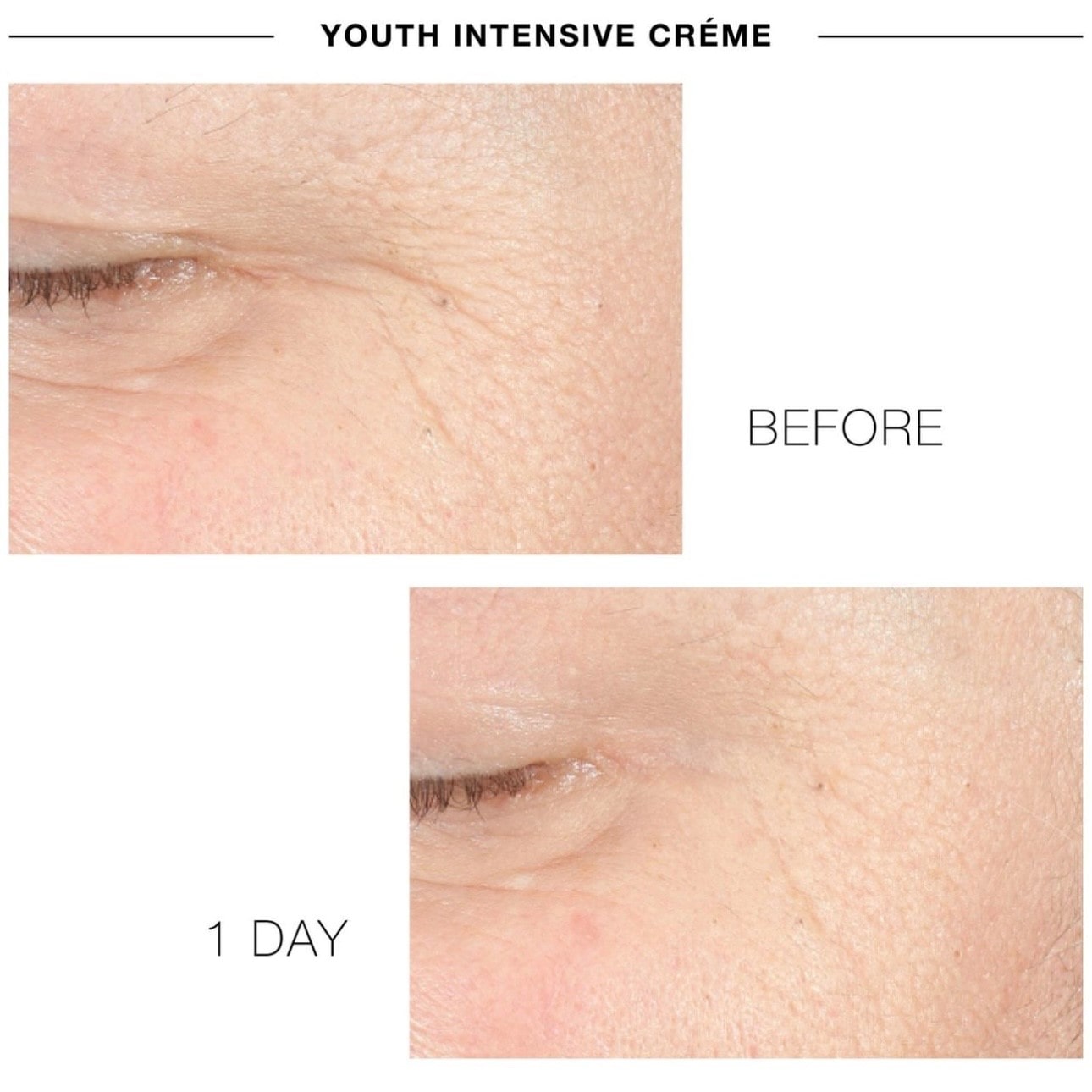 YOUTH INTENSIVE CREME